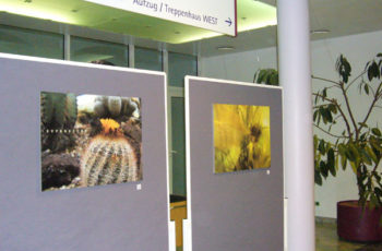 Chirurgie am Bezirkskrankenhaus Hall vermittelt Informationen zum Mammakarzinom . Kunstausstellung für Patientinnen