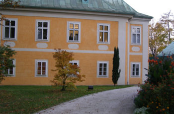open mind in Linz