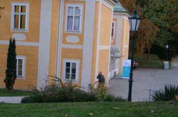 open mind in Linz