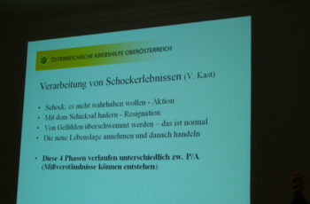 open mind in Linz