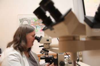 Interessanter Pathologen-Workshop mit Koryphäe Fraser Symmans in Wien