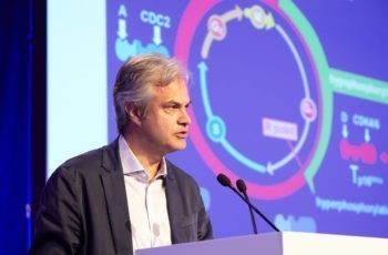 Viele bunte Bilder: Wirkweise von CDK 4/6-Inhibitoren, erläutert von Christian Singer.