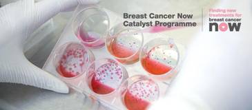 Breast Cancer Now Catalyst Programme Grants 