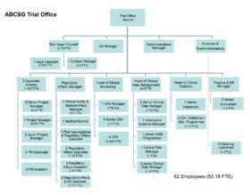 Organigramm ABCSG