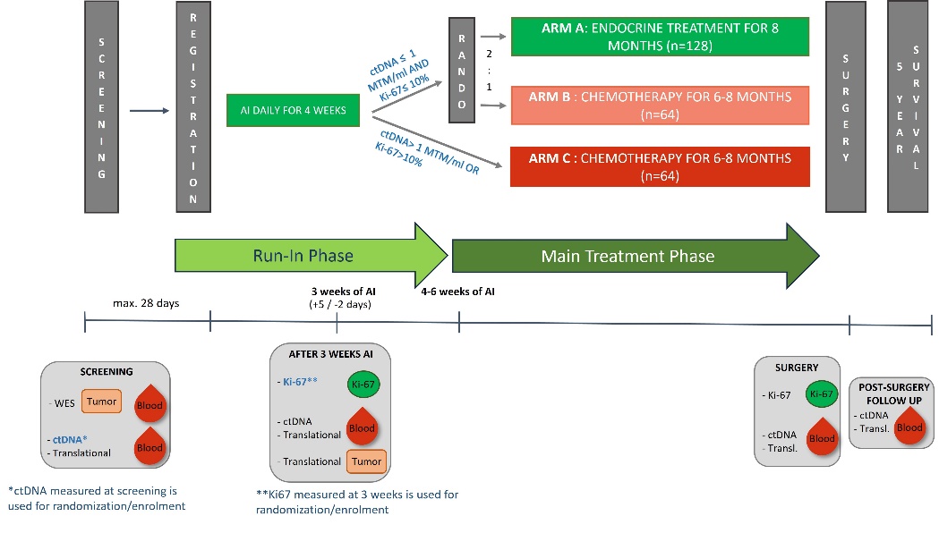 ABCSG 61 Study Design