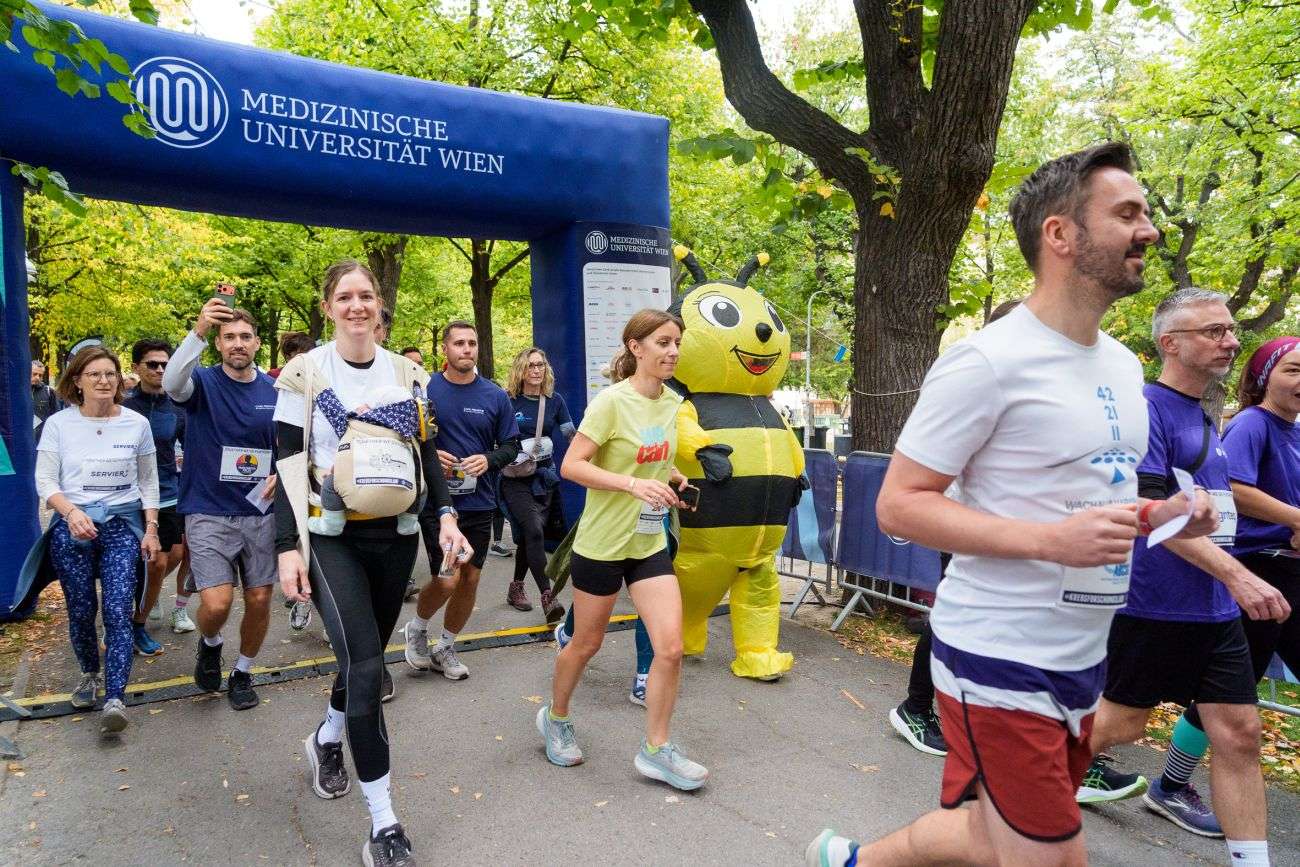 Krebsforschungslauf 2026