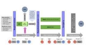 ABCSG 64 / neoGRACE Studiendesign
